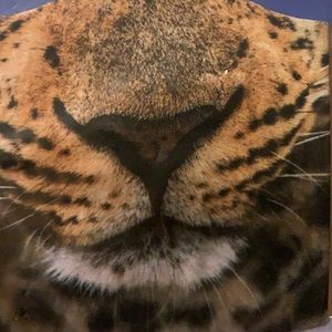 Bundle of 4 Face Masks